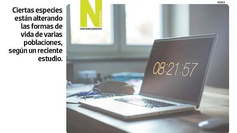 horarios verano SITIO2.